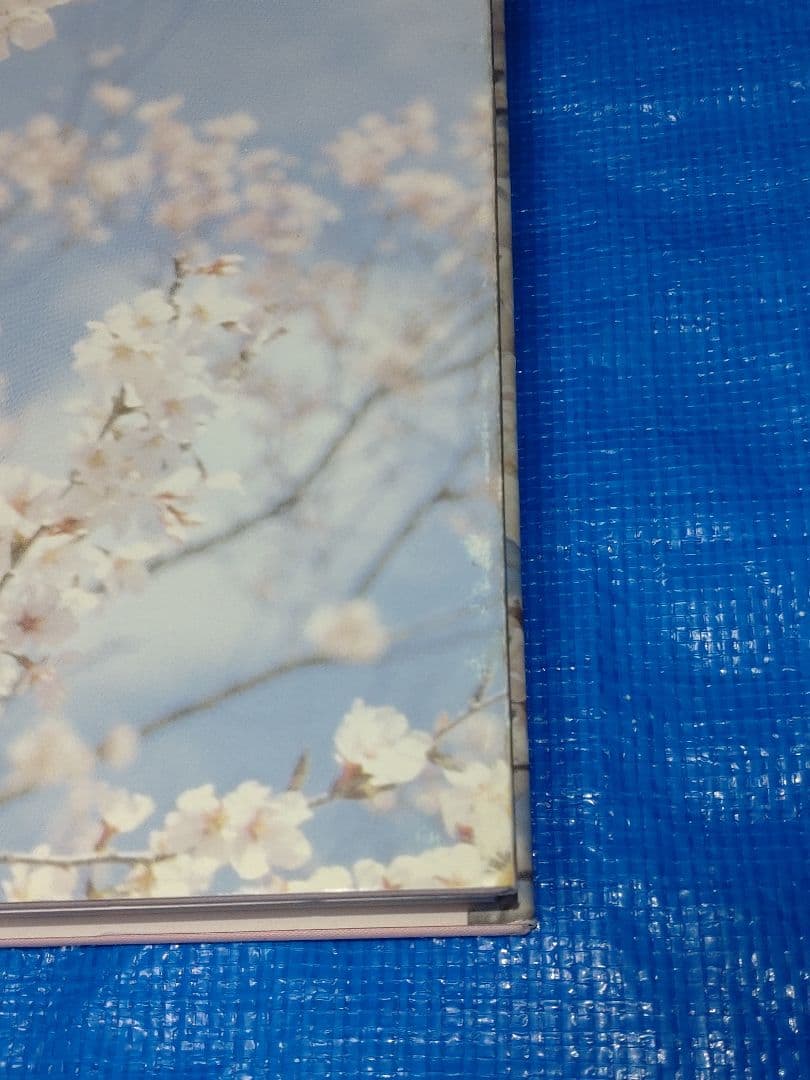 日本産クワガタムシ大図鑑　吉田賢治著　虫研