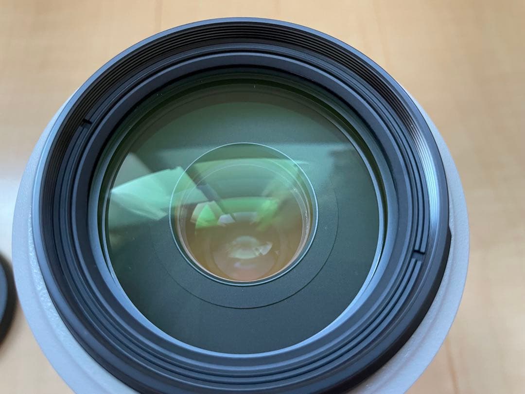 Canon EF 70-300mm f/4.5-5.6L ズームレンズ