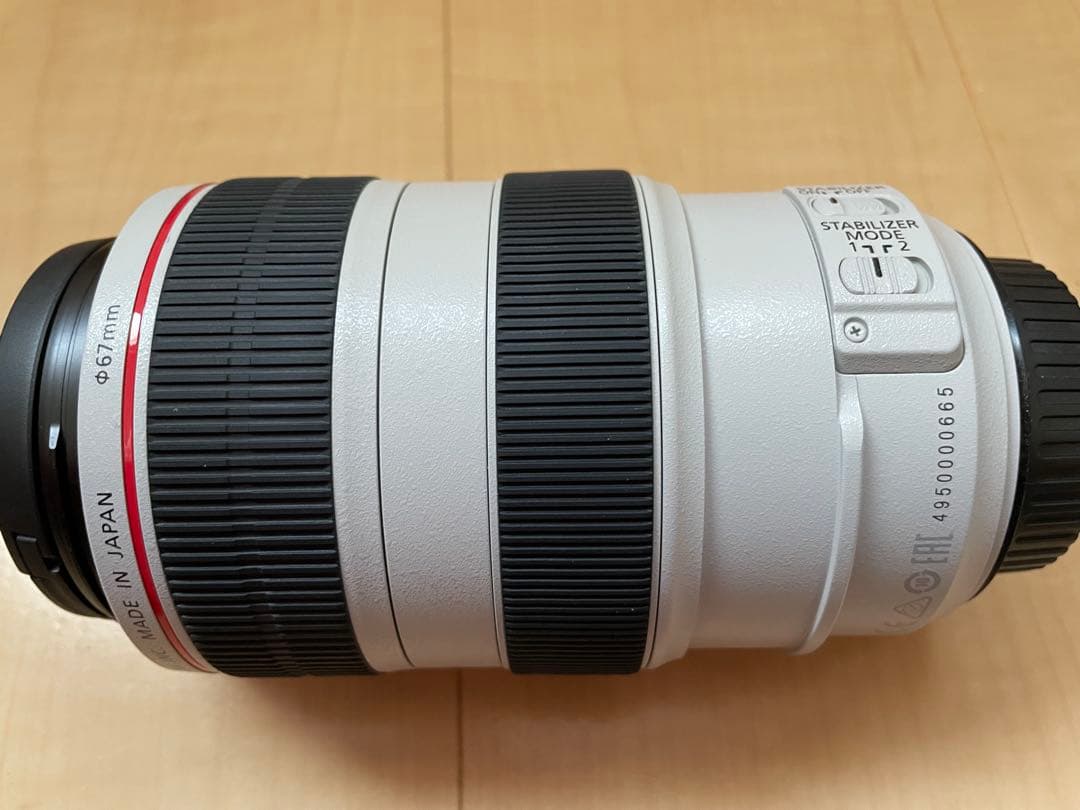 Canon EF 70-300mm f/4.5-5.6L ズームレンズ