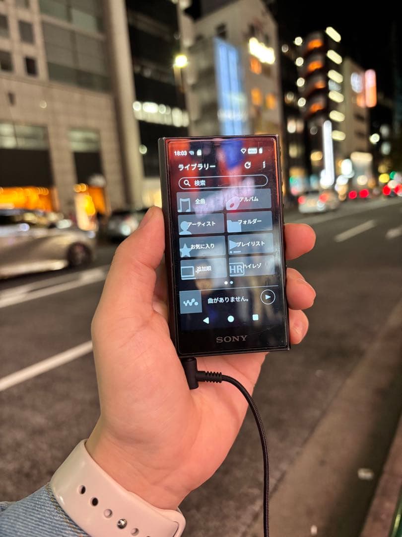 SONY Walkman NW-A306 （32GB）