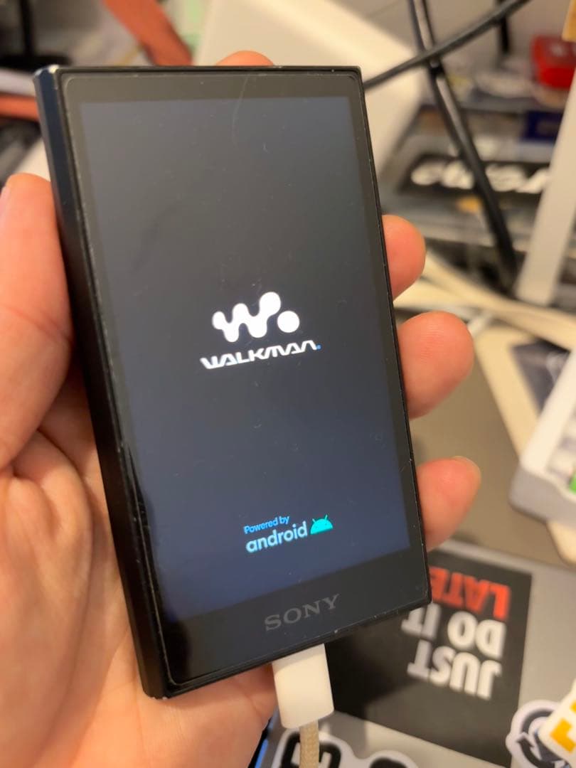 SONY Walkman NW-A306 （32GB）