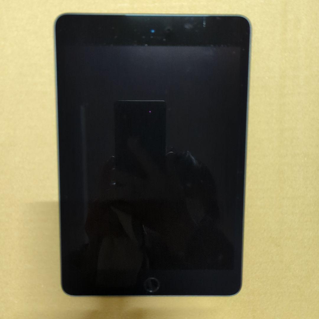Apple iPad mini(第５世代) Wi-Fi256GBスペースグレイ