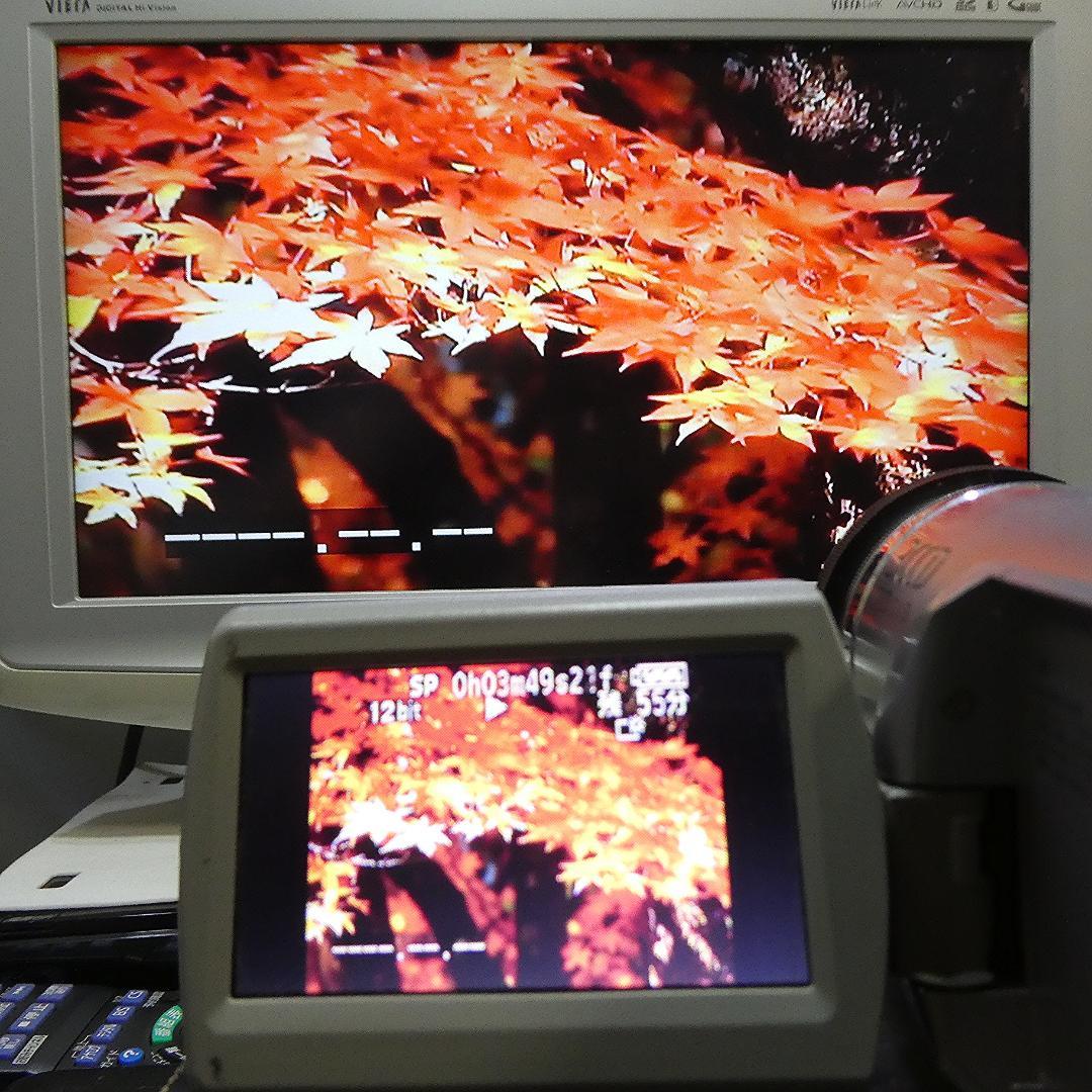 動作良好 パナソニック NV-GS300 MiniDVビデオカメラDVD化に最適