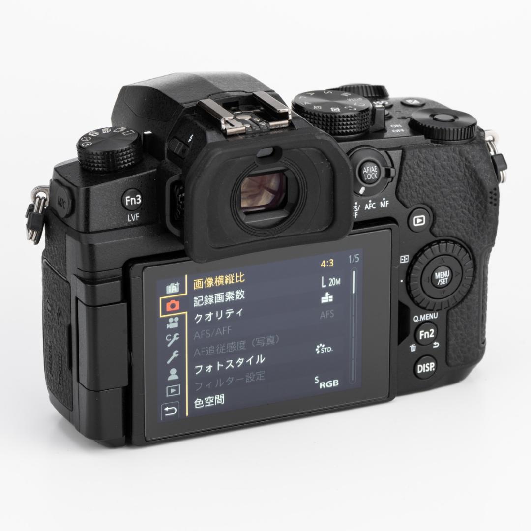 ★美品★PanasonicパナソニックLUMIX DC-G99ボディ 付属品完備