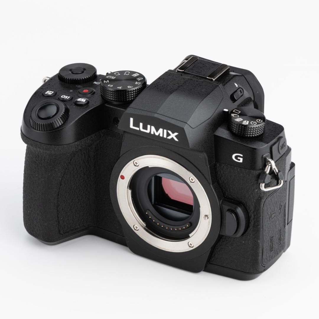 ★美品★PanasonicパナソニックLUMIX DC-G99ボディ 付属品完備