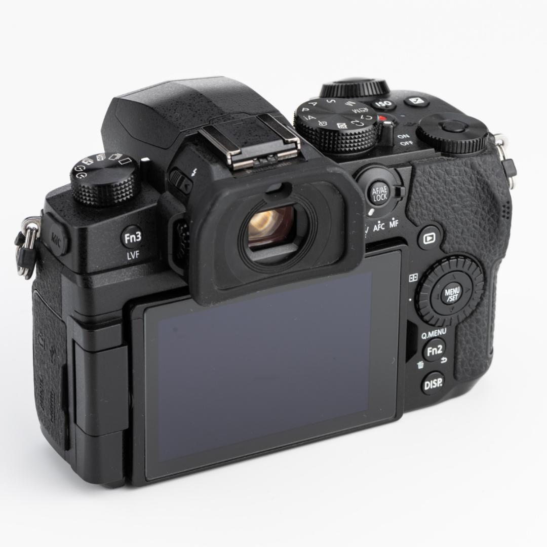 ★美品★PanasonicパナソニックLUMIX DC-G99ボディ 付属品完備