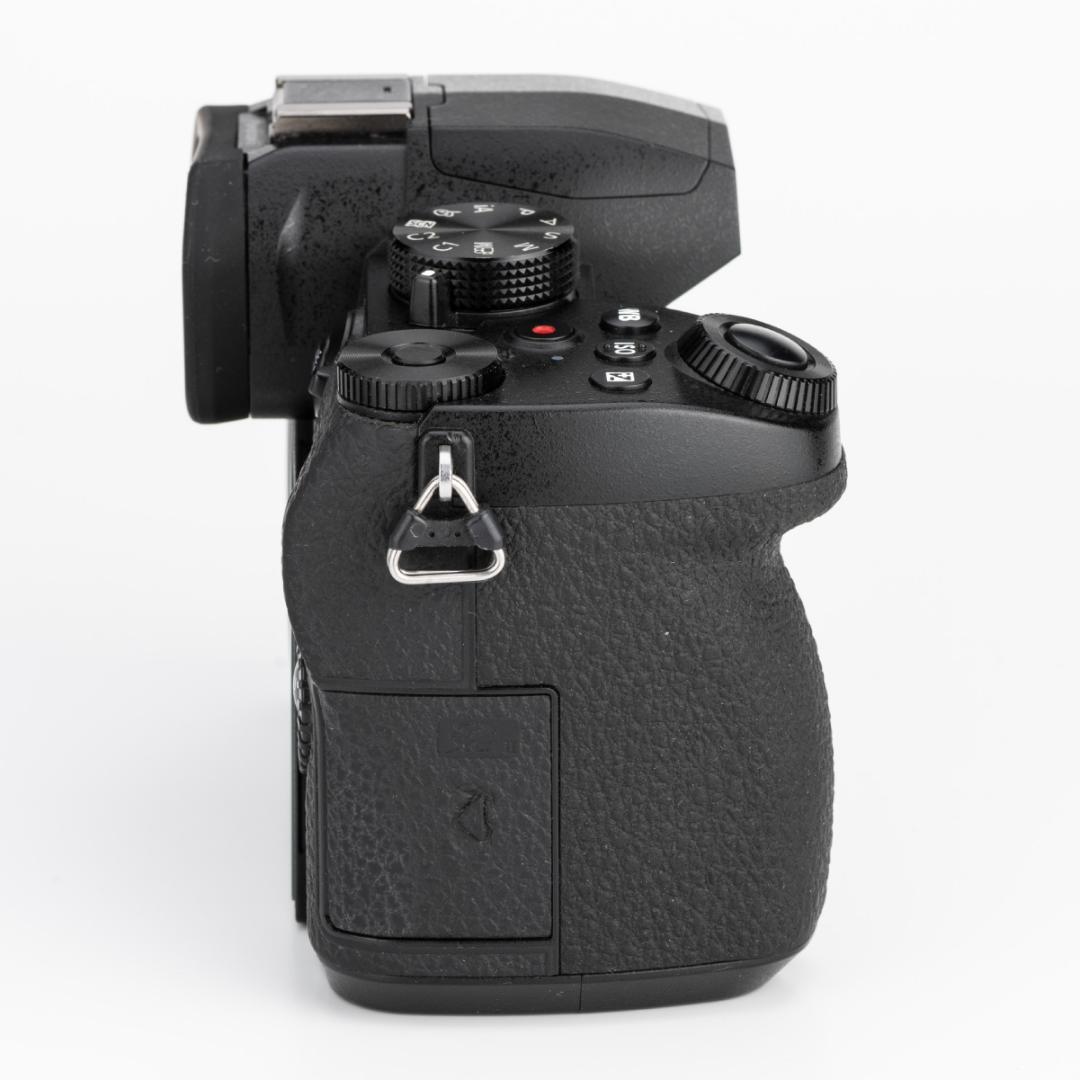 ★美品★PanasonicパナソニックLUMIX DC-G99ボディ 付属品完備