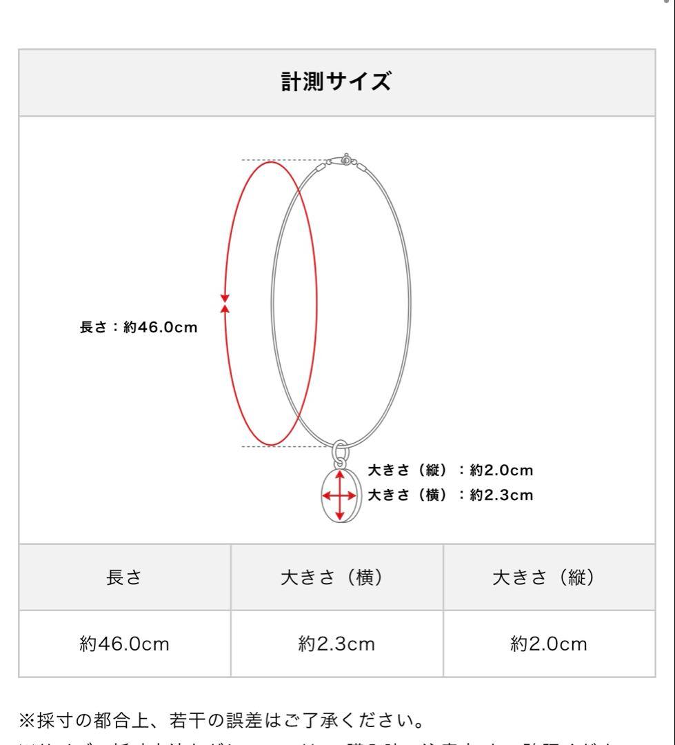 【ロゴ刻印】Hysteric Glamour ３連　ギターピック ネックレス