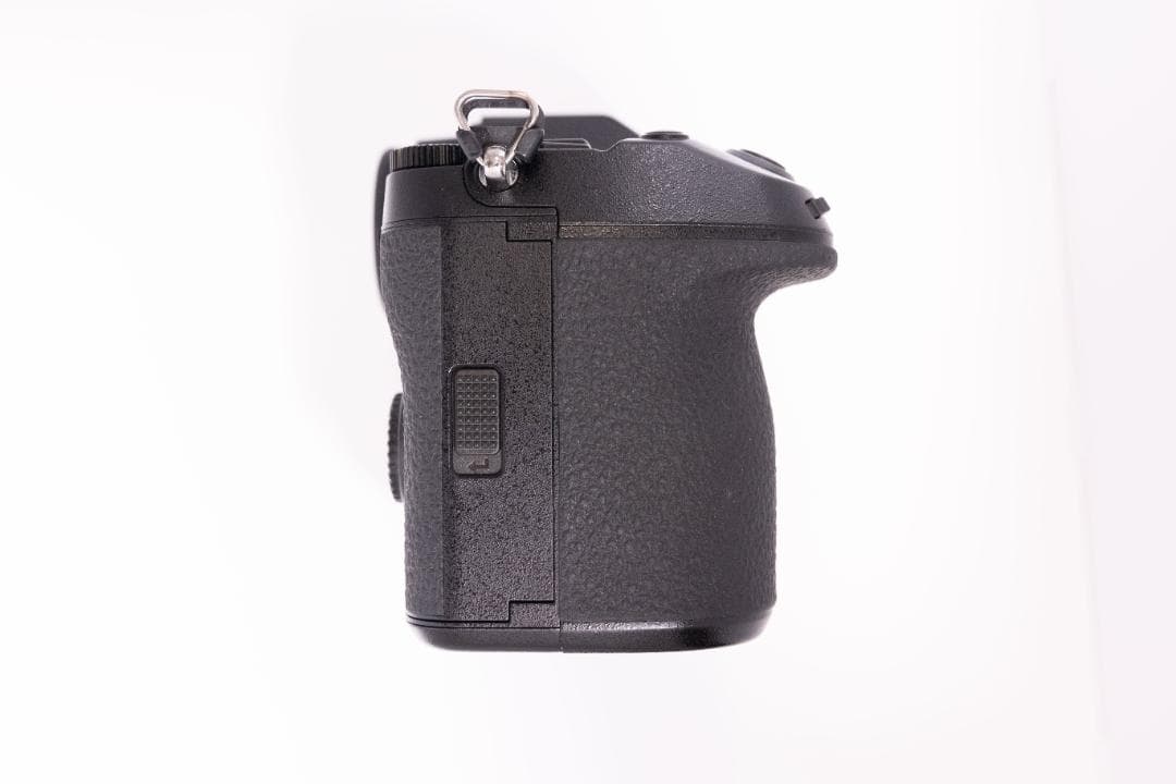 LUMIX S1 vlogアップグレード済 海外モデル