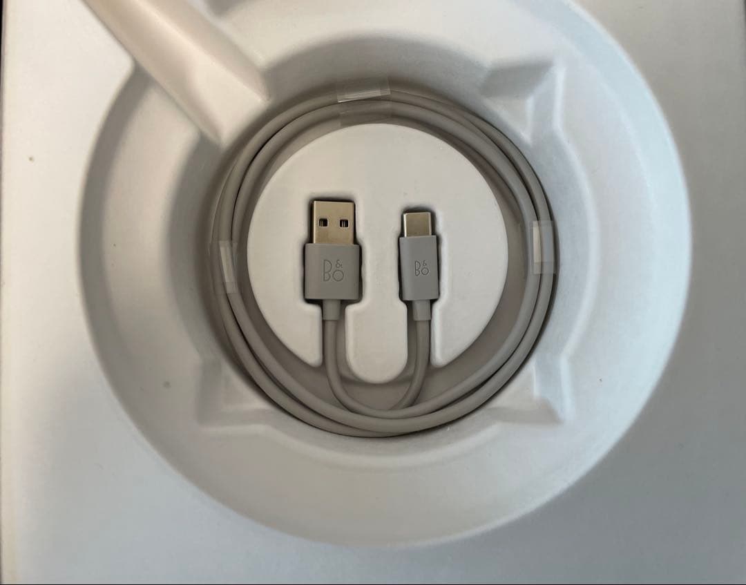 BANG & OLUFSEN Beosound A1 BERLUTI 限定品