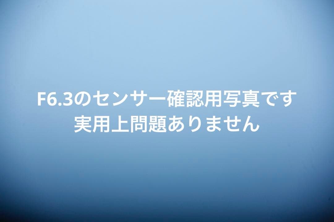 Canon EOS 5D 初期型｜動作確認済｜フルサイズ入門・練習用に