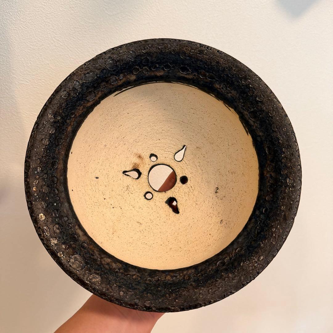 小野瀬一 大鉢 浅鉢 【まとめ買いで5%off！】