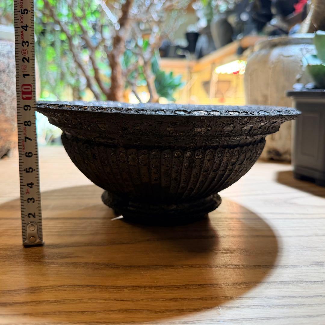 小野瀬一 大鉢 浅鉢 【まとめ買いで5%off！】