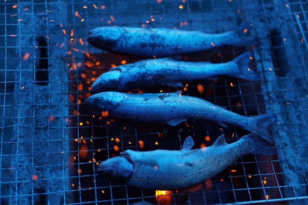 専用出品ショット数 4732 SONY a6400+SEL50F18+オマケ