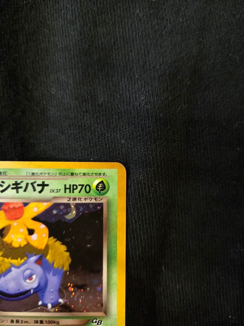 わるいフシギバナ　旧裏