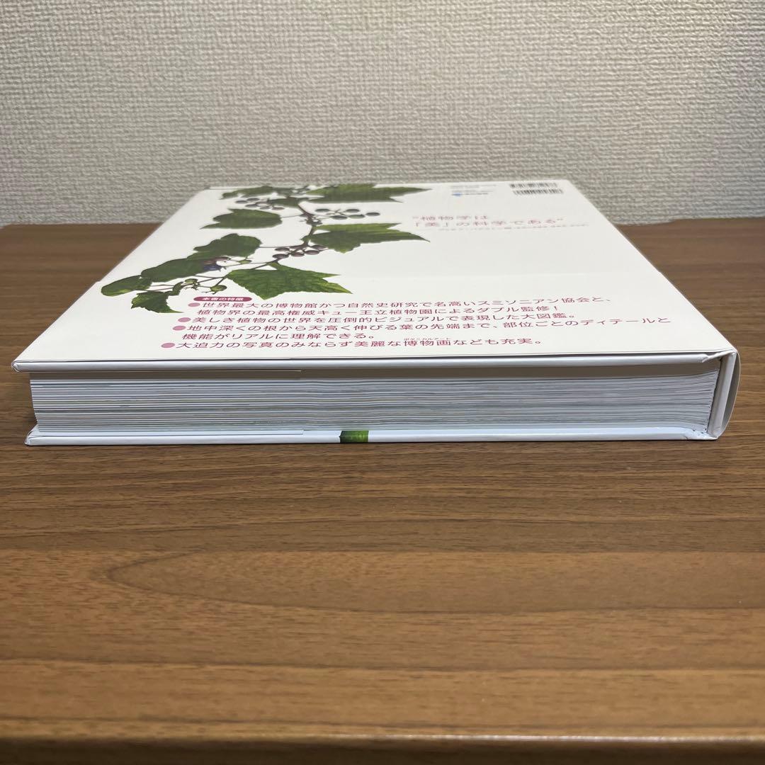 図鑑OCEAN LIFE海の生物 FLORA植物の世界