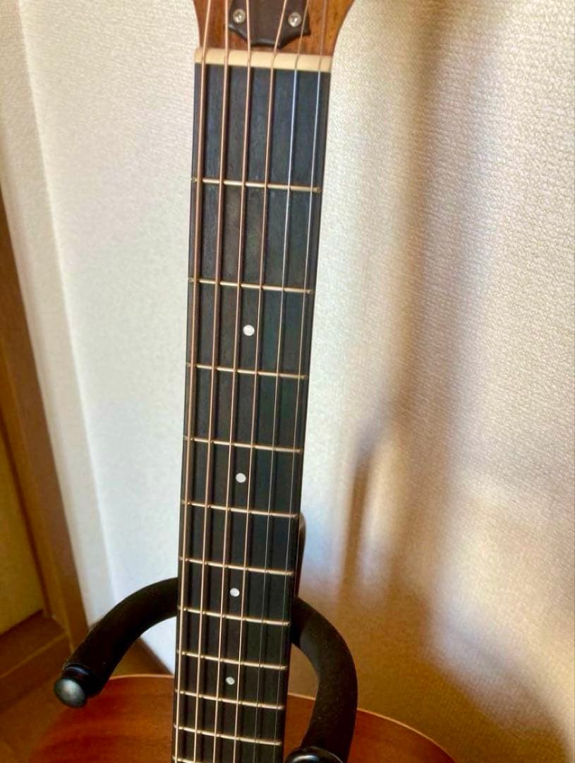 Taylor Academy 10e エレアコ アコースティックギター テイラー