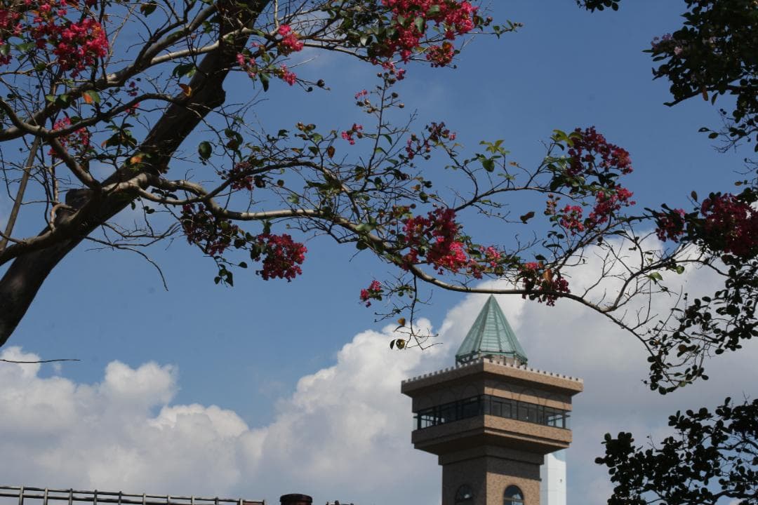 キヤノン EF50mm f1.８Ⅱ マクロレンズ 可動品 (ref# 4116)