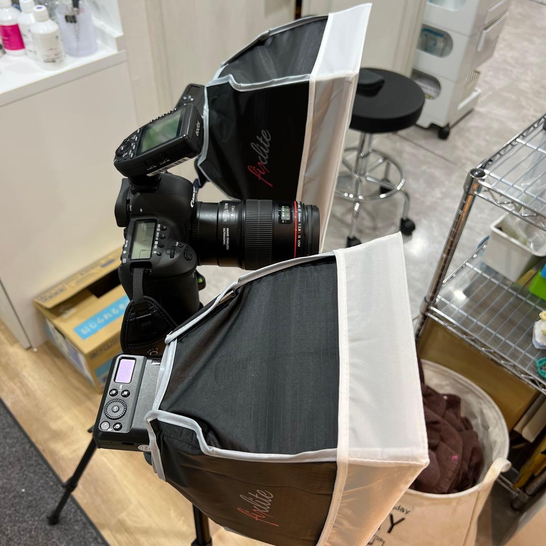 フィックスライト