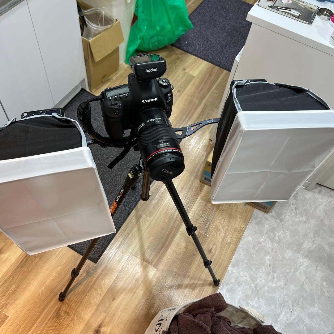 フィックスライト