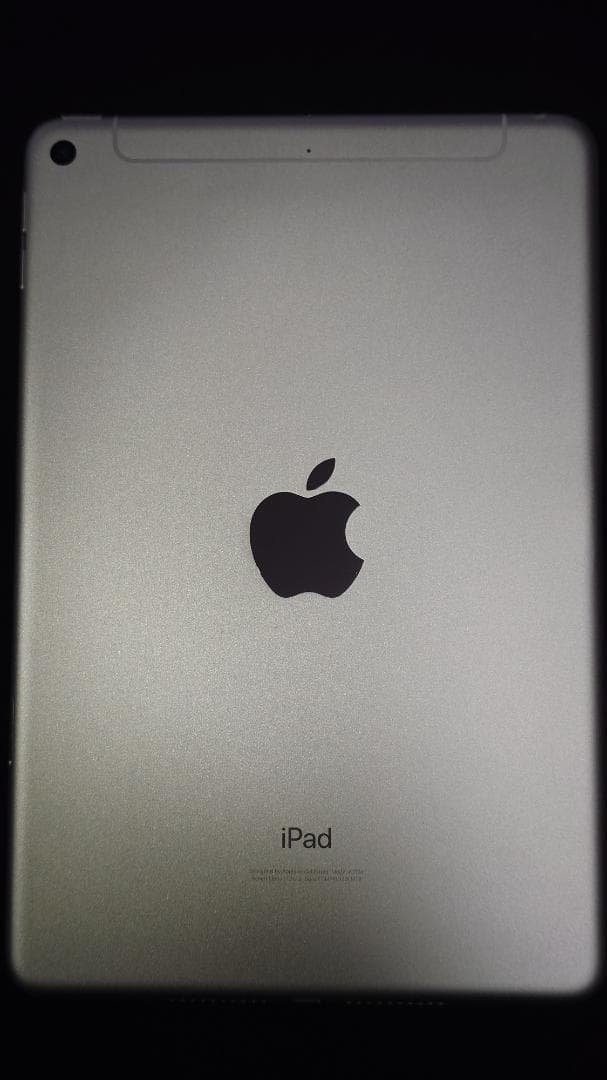 iPad mini 第5世代 WiFi+Cellular 64GB