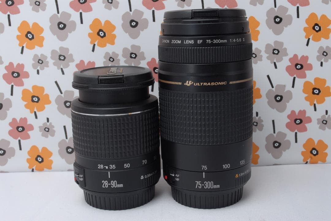 ❤Canon EOS 6D❤美しいボケ感❤フルサイズ❤Wi-Fi❤超望遠レンズ❤