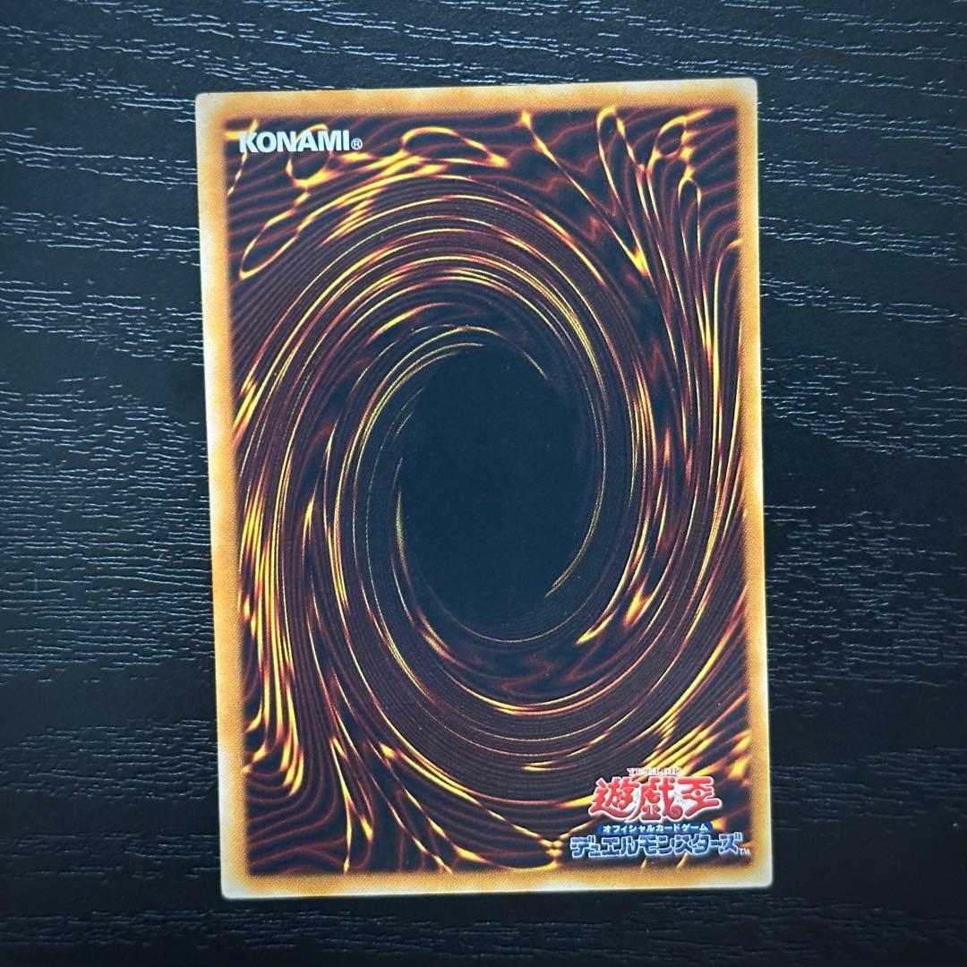 遊戯王 真紅眼の闇竜 レリーフ