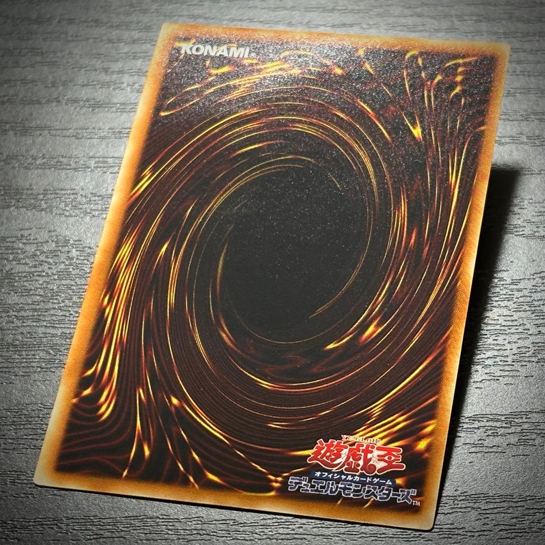 遊戯王 真紅眼の闇竜 レリーフ