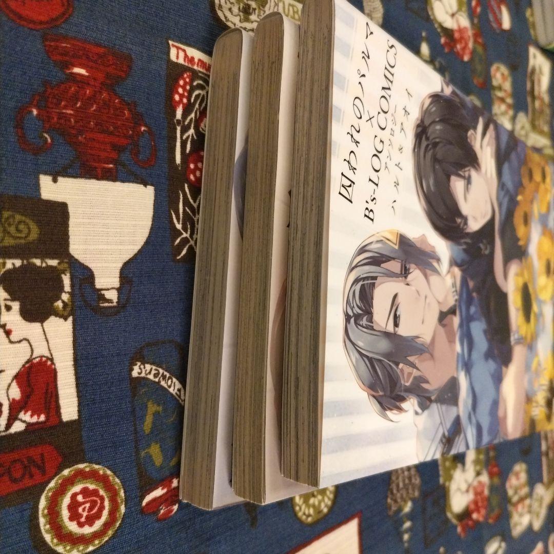 囚われのパルマ　アンソロジー3冊セット