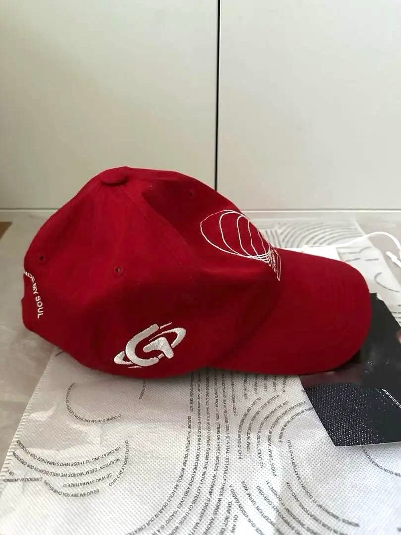 帽子 gadid anoniem JUDE / red