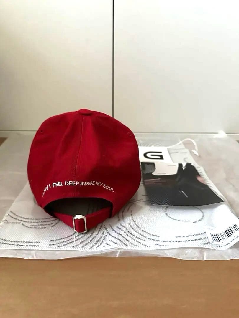 帽子 gadid anoniem JUDE / red