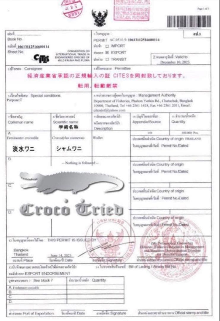 クロコダイル 長財布 547シャイニング メンズ ワニ革