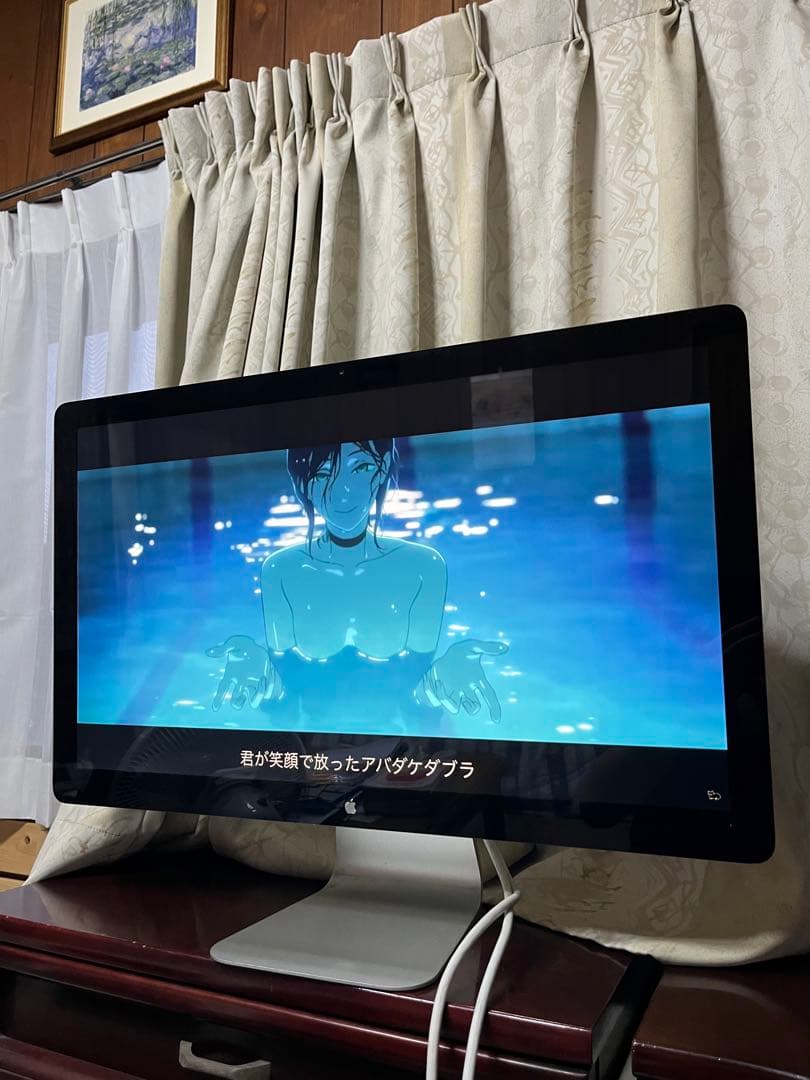 【⭐️動作確認済⭐️】Apple Thunderbolt Display 27インチ
