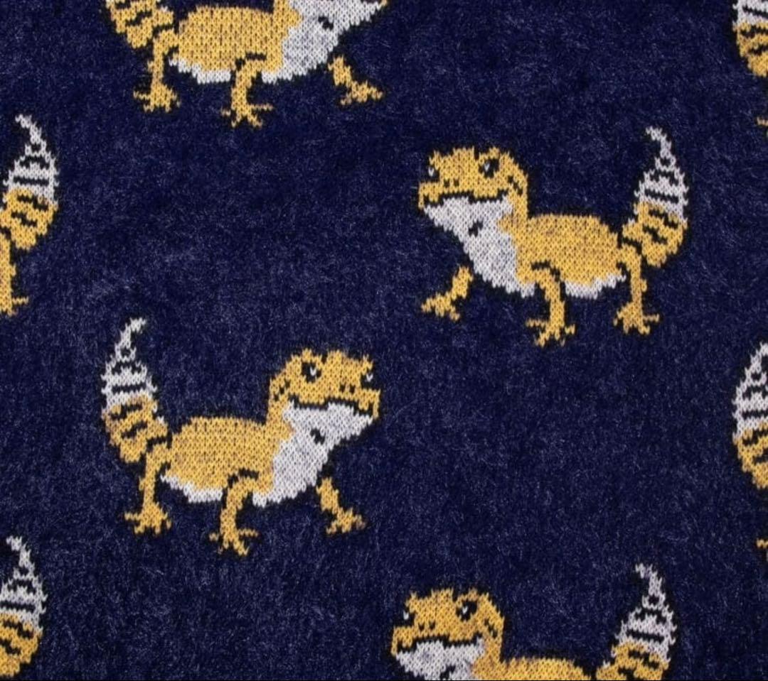 ゴースローキャラバン レオパードゲッコー ジャガード シャギーニットセーターM