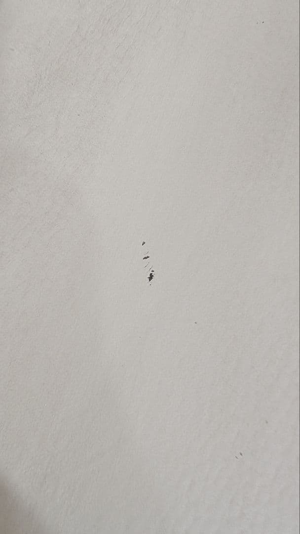 BoConcept ホワイト　オタワチェア　ダイニングチェア