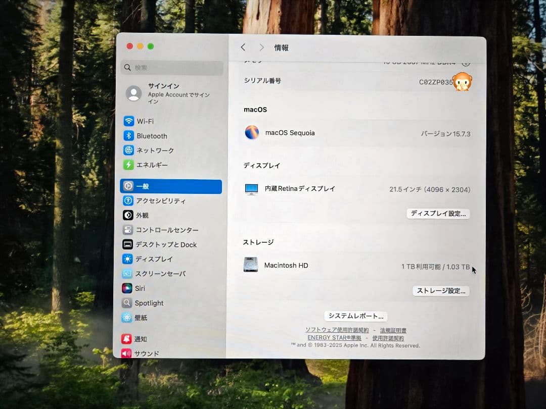 21.5インチ iMac Retina 4Kディスプレイモデル(2019)