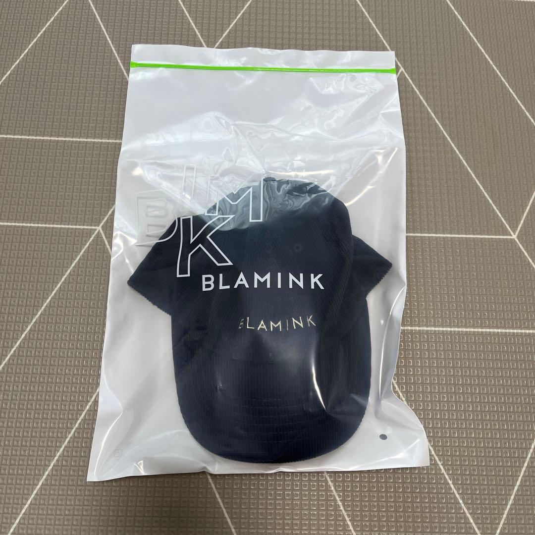 ブラミンク BLAMINK ネイビー キャップ 今季