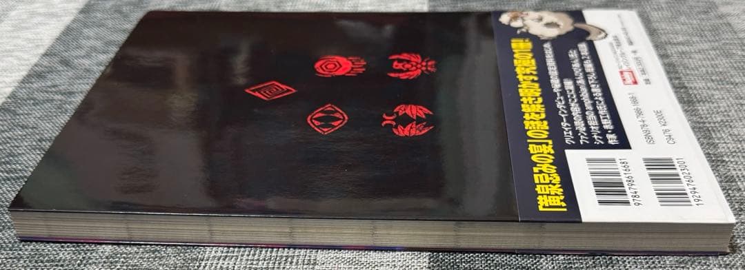 【美品・初版・厳重な梱包・匿名配送】レイジングループ完全読本