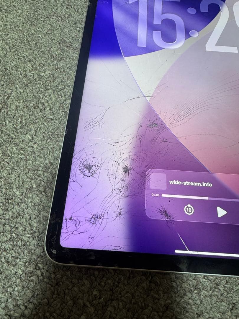 Apple ipad pro 第5世代　本体