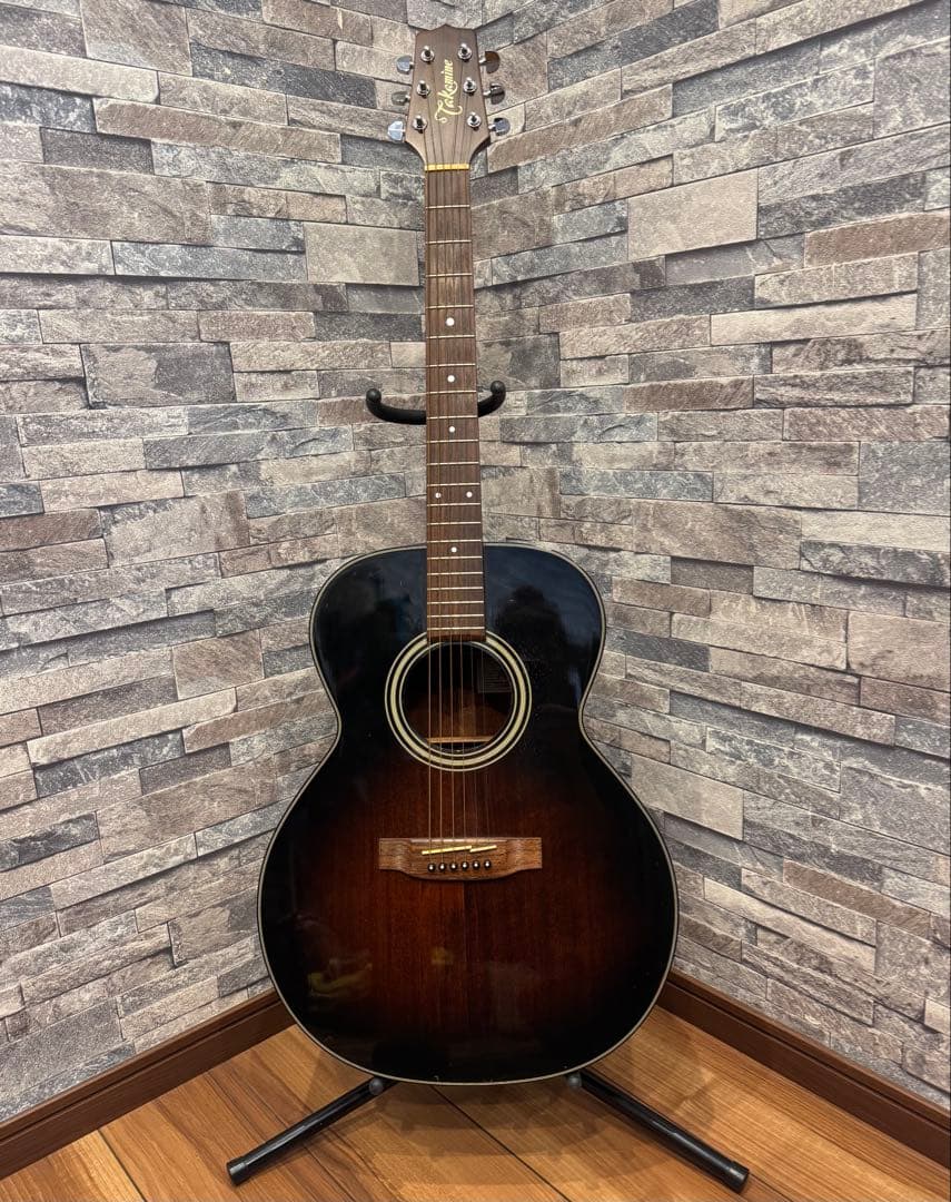 Takamine TSA500アコースティックギター 、ハードケース、チップ