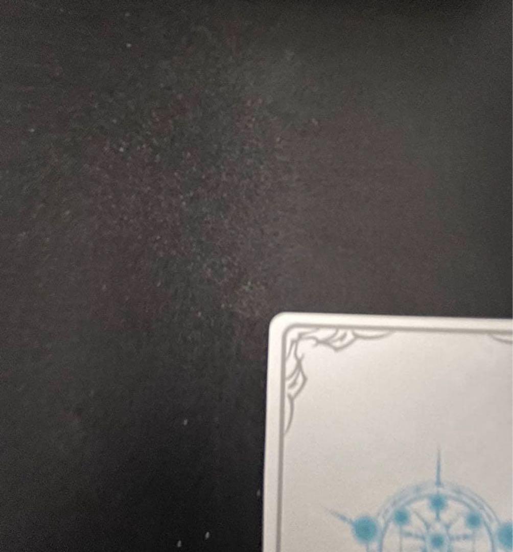 第五の絶傑・ガルミーユ　リーダー　シャドウバースエボルヴ