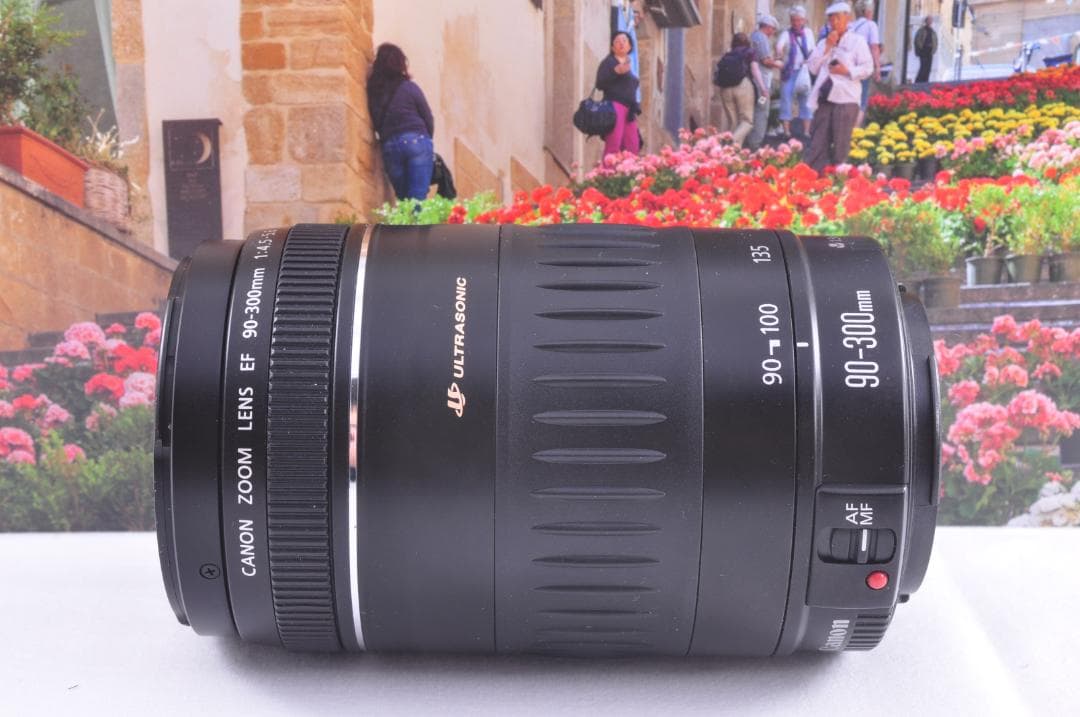 Canon EF 90-300mm F4.5-5.6 望遠ズームレンズ 動作良好