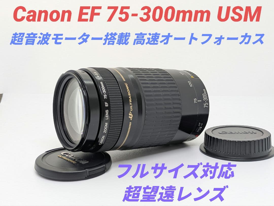1月19日限定価格【超望遠レンズ】Canon EF 75-300mm USM