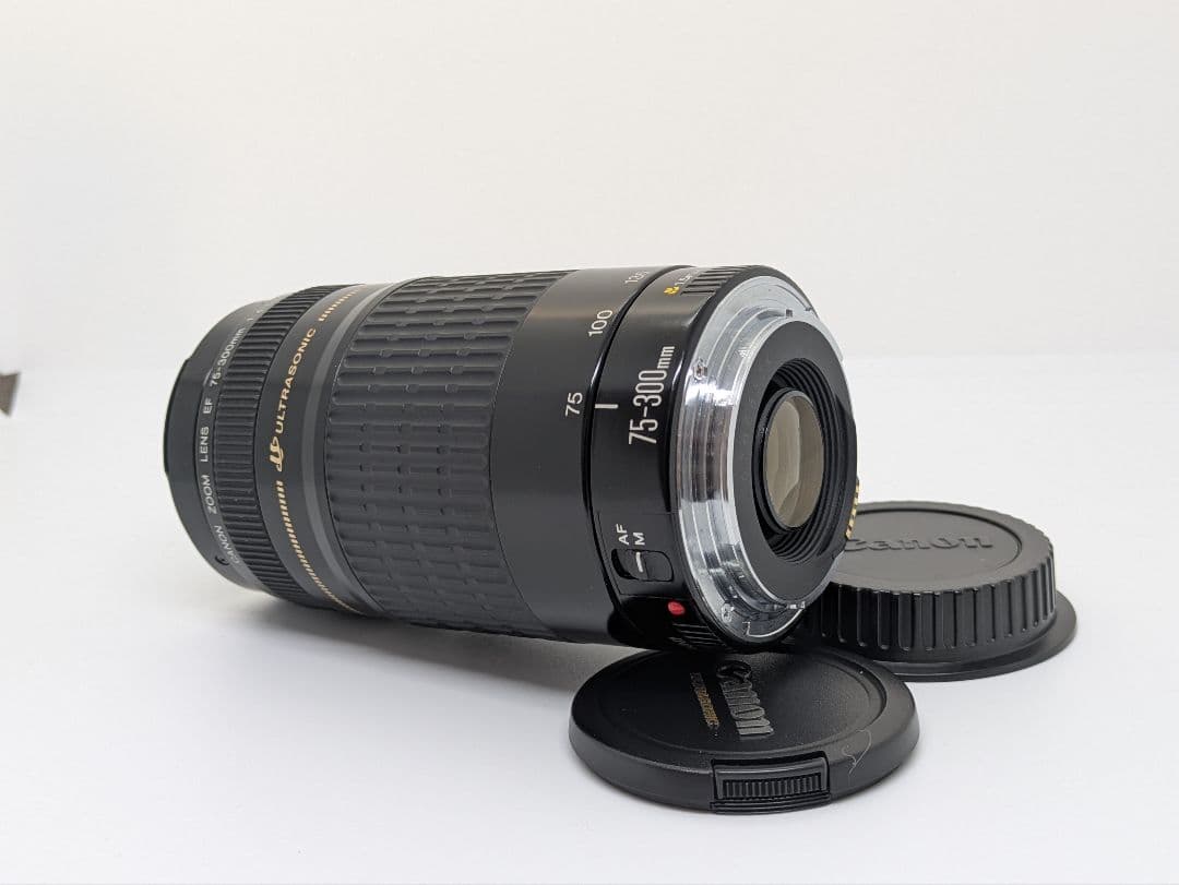 1月19日限定価格【超望遠レンズ】Canon EF 75-300mm USM