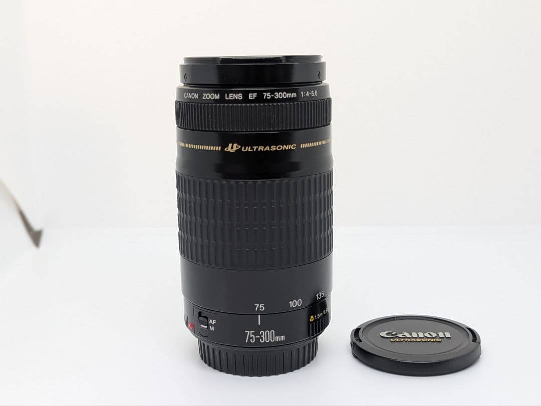 1月19日限定価格【超望遠レンズ】Canon EF 75-300mm USM