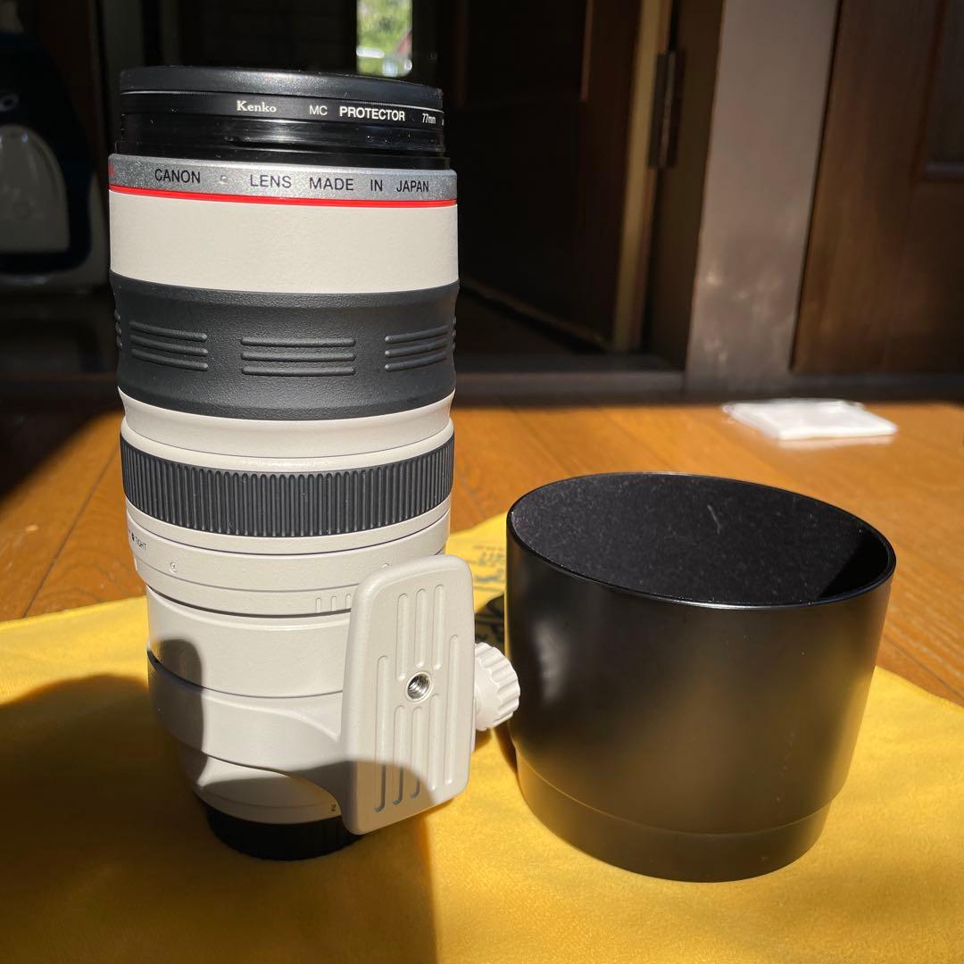 キヤノン　EF100-400 L 4.5-5.6 is ultrasonic