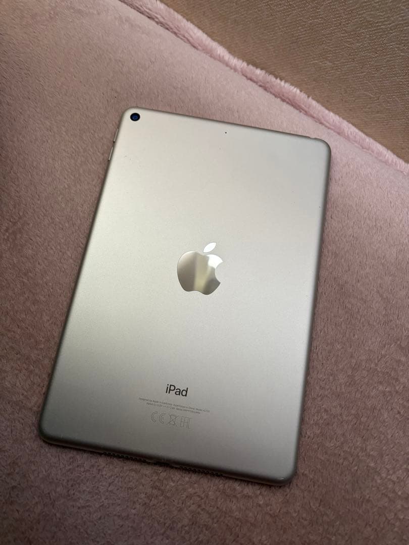 ジャンク iPad mini5 本体 第5世代 アイパッドミニ