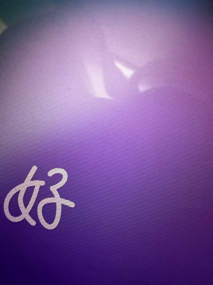 ジャンク iPad mini5 本体 第5世代 アイパッドミニ