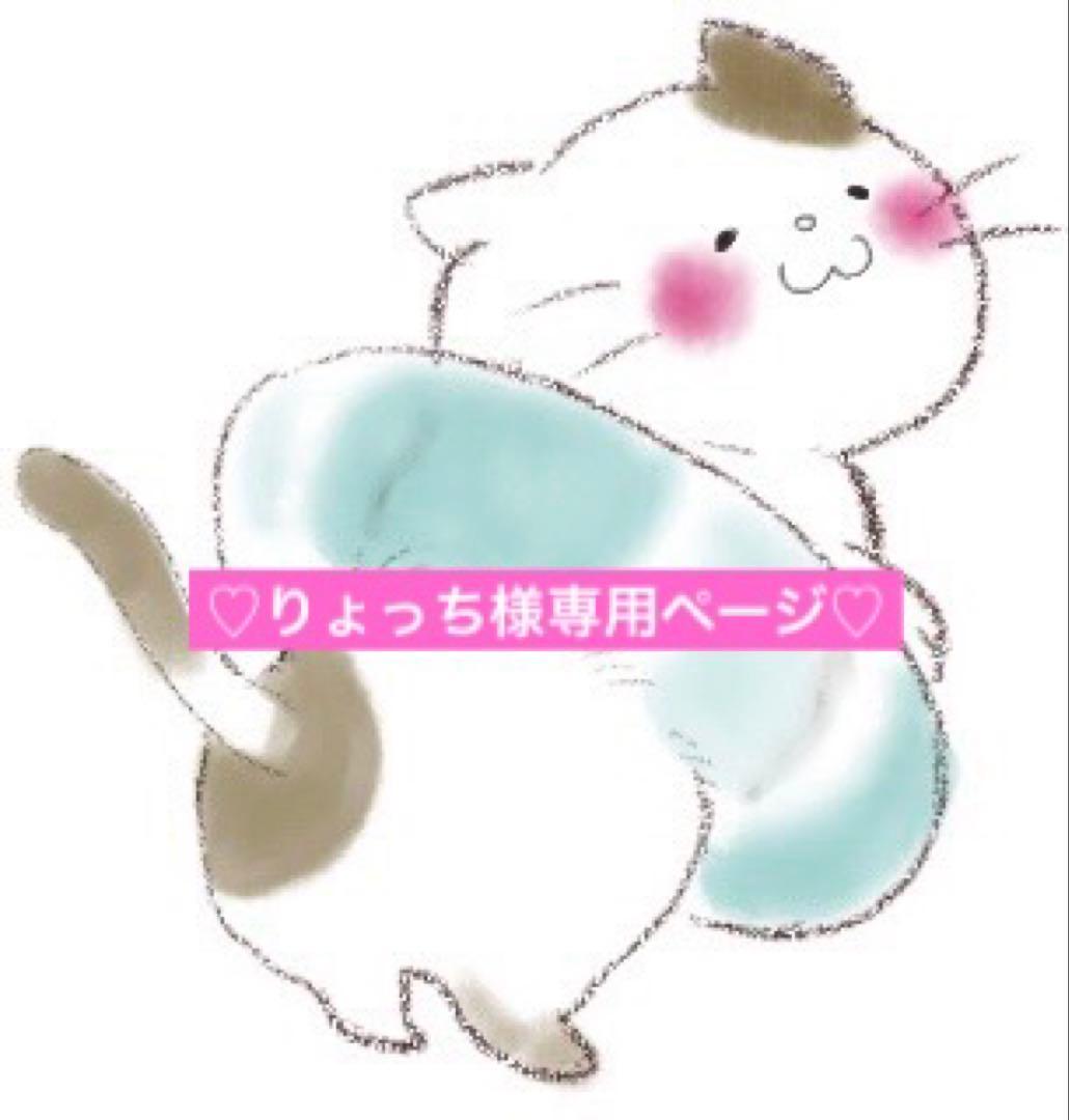 りょっちページ