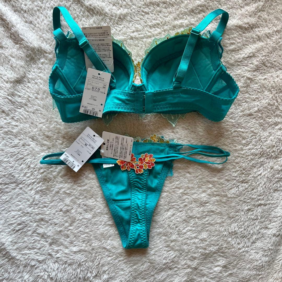 Saluteサルート　17g ブラD70　ソングM 　世界遺産黄龍BS